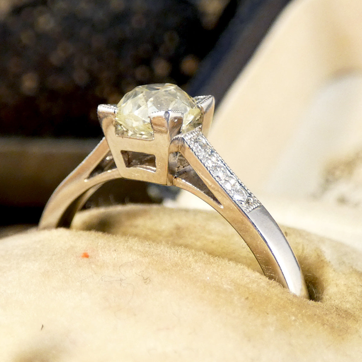 Champagne Old Cushion Cut Diamond Solitaire with Diamond set Shoulders in Platinum - Wharfedale Antiques